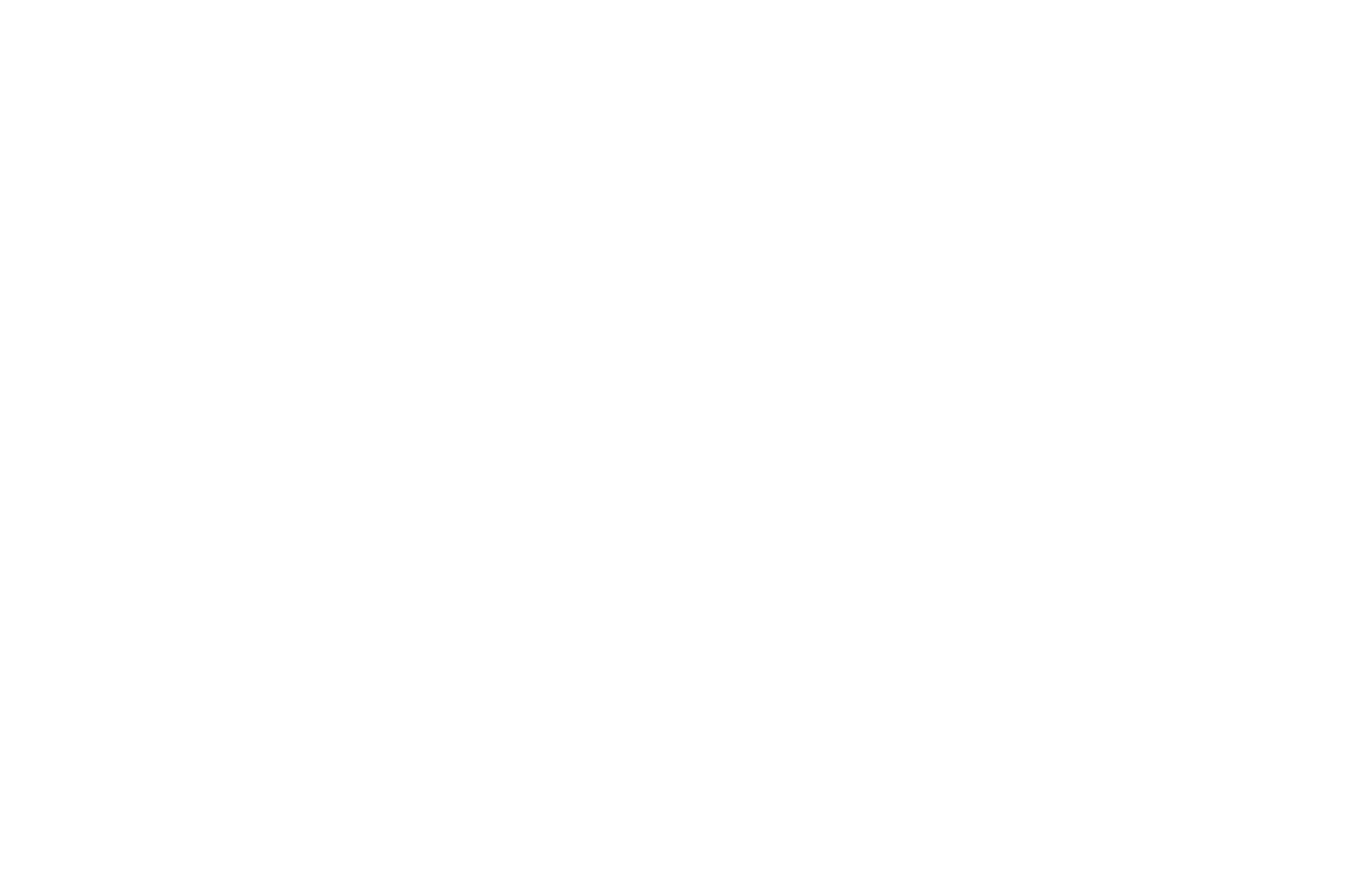 RVSL Foundation logo