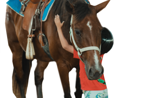 Modern Architectural Structures